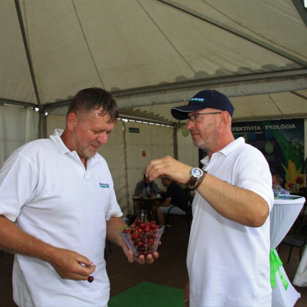 Dni pola 2022 Dolna Krupa 7