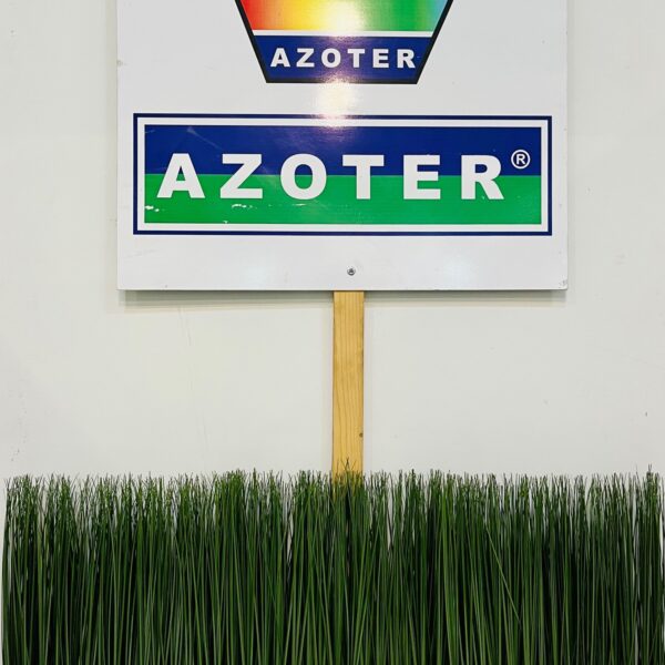 РОМЕКСПО ИНДАГРА Букурешт 202215